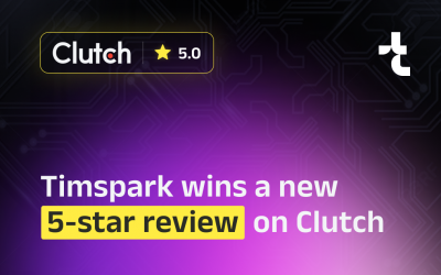 Exceptional Application Testing Services: Timspark Wins a New 5-Star Review on Clutch