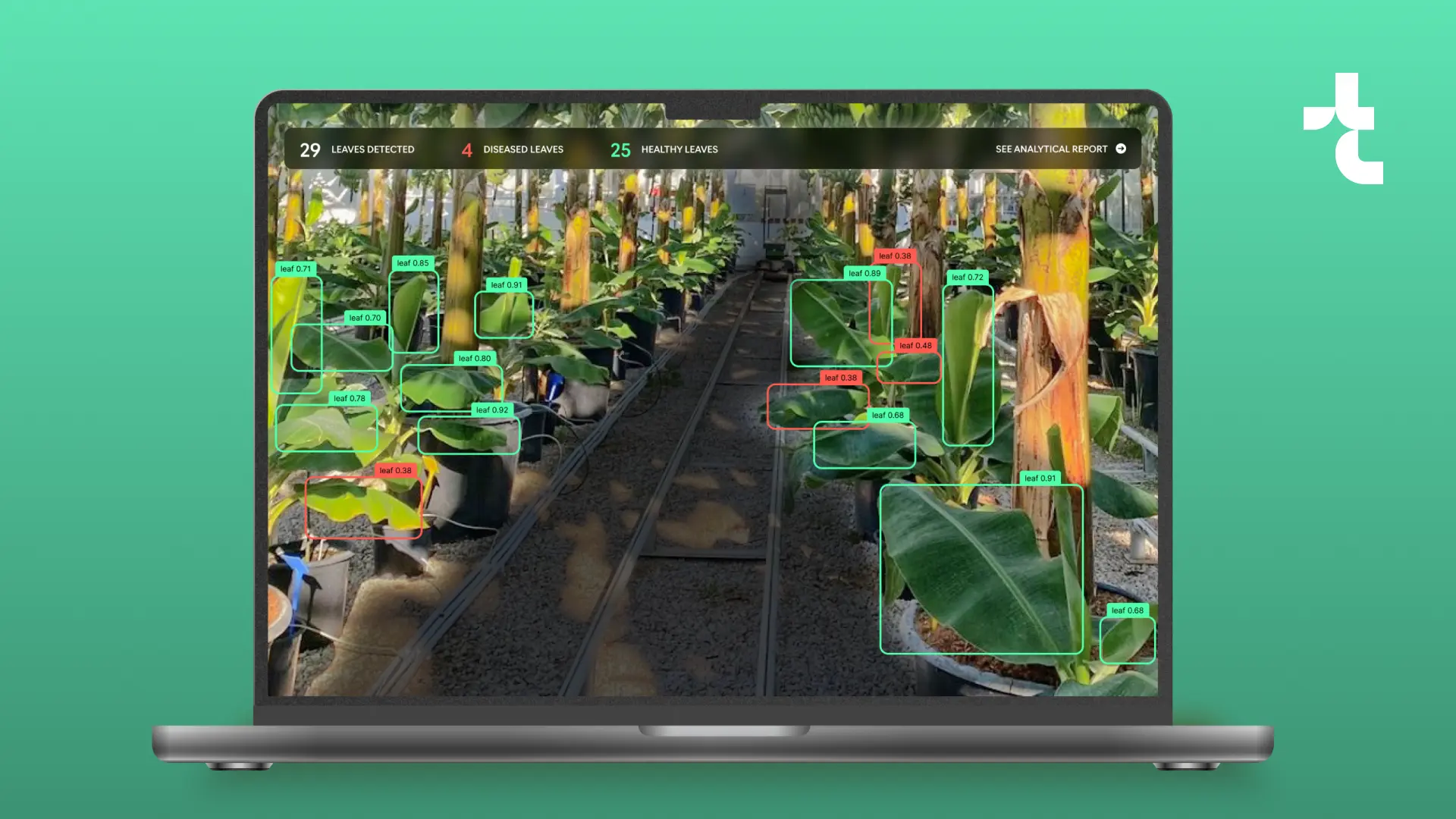 How to Use Computer Vision in Agriculture for Detecting Diseased Banana Leaves